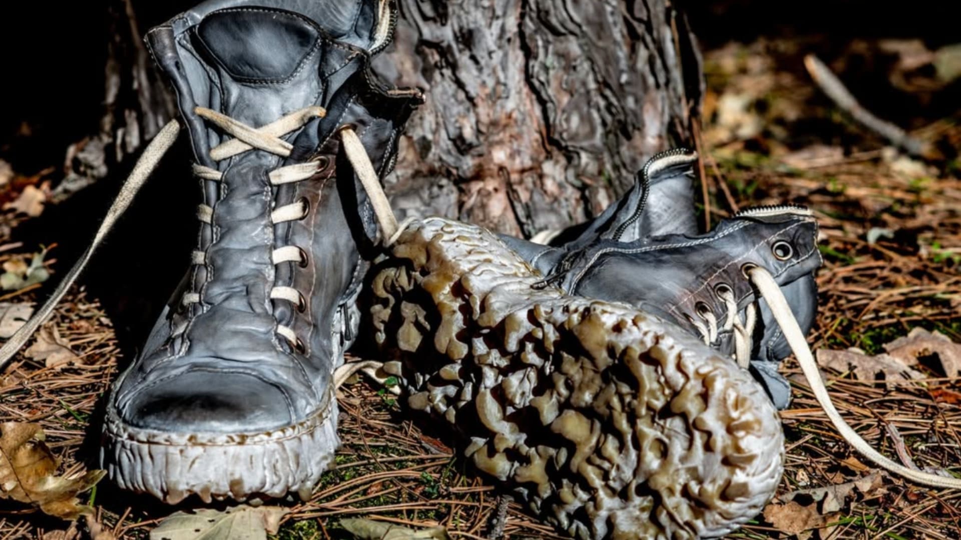 Culture of Brave – A New Era of Avant-Garde Footwear